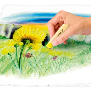STAEDTLER® 2430 - Gallery Image